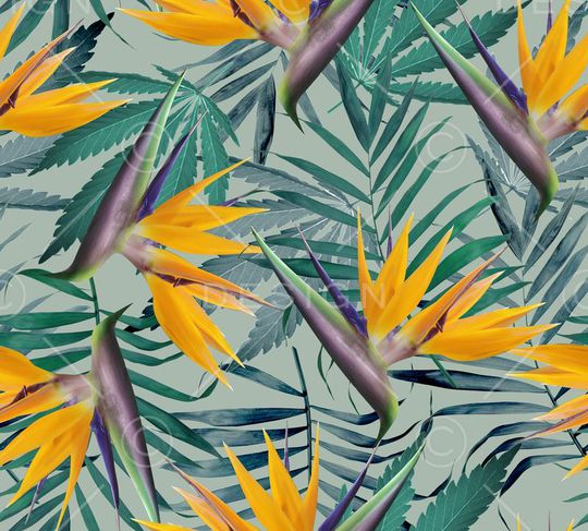 欧美印花华亿平台图片