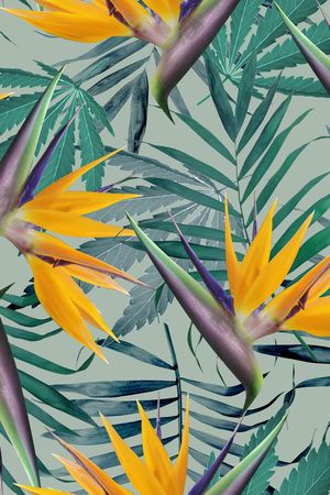 欧美印花华亿平台图片