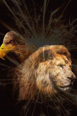 T恤夹克外套连衣裙印花华亿平台图片