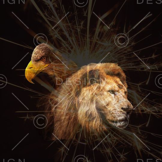 T恤夹克外套连衣裙印花华亿平台图片