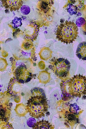 抽象印花华亿平台图片