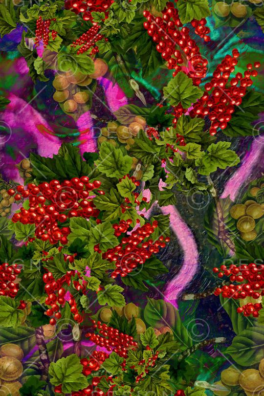 趣味印花华亿平台图片