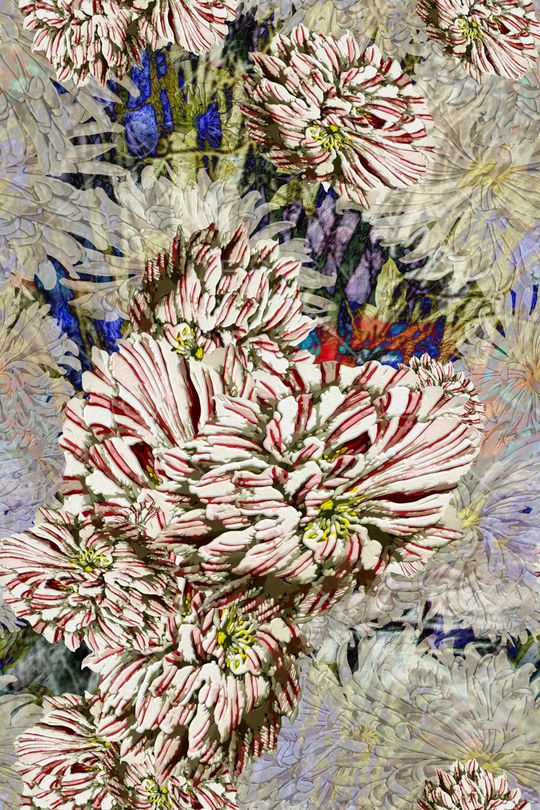 日韩风印花华亿平台图片