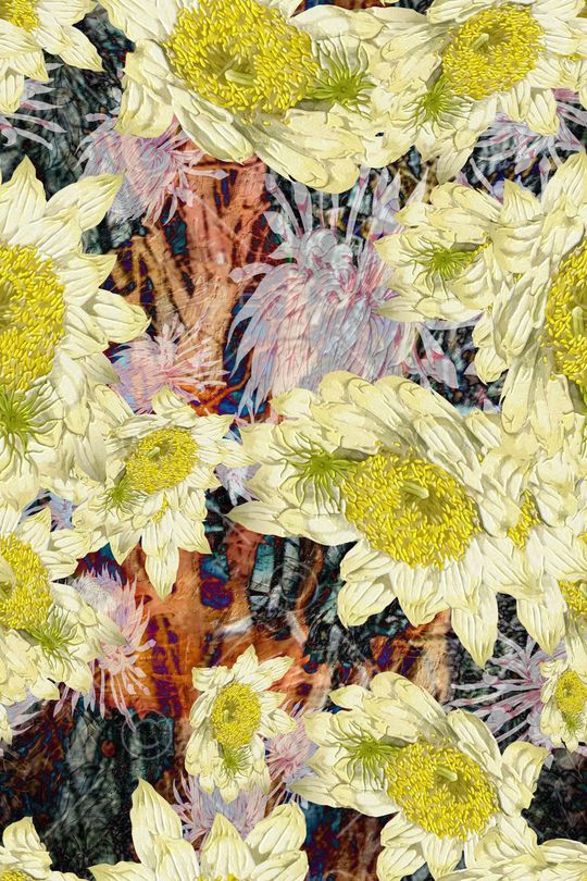 小清新印花华亿平台图片