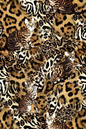 VIP华亿平台印花华亿平台图片