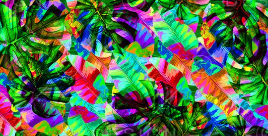 tropical印花华亿平台图片