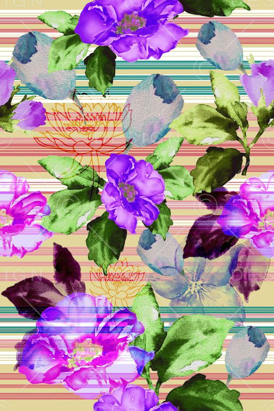 零点--女装印花华亿平台图片