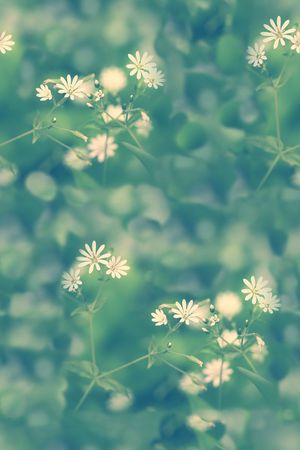 时尚印花华亿平台图片