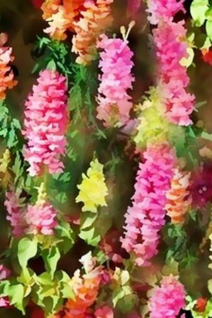 手绘印花华亿平台图片