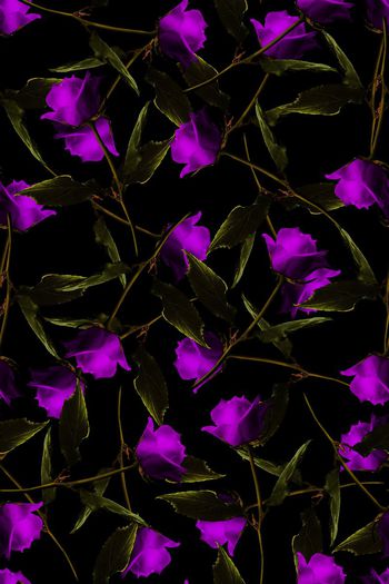 592264-玫瑰花大花朵