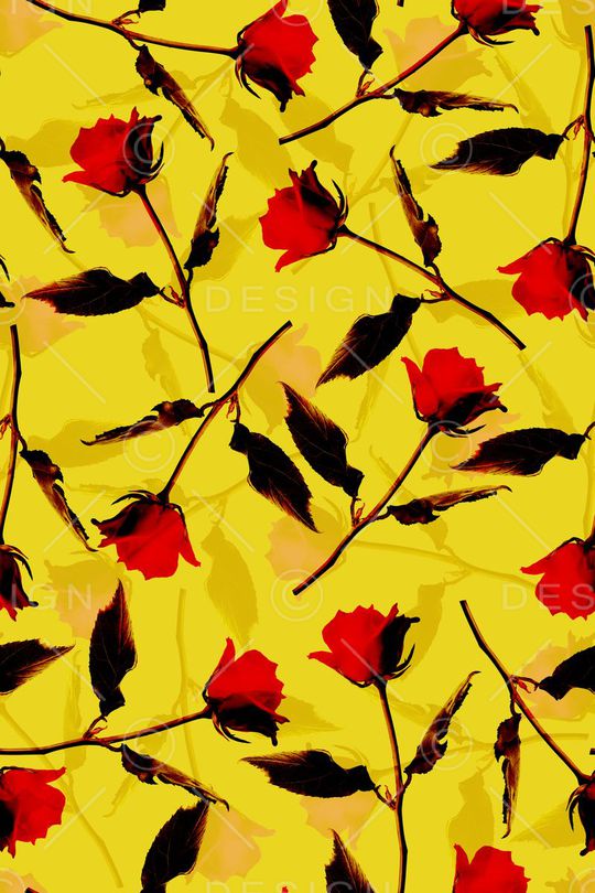 玫瑰印花华亿平台图片