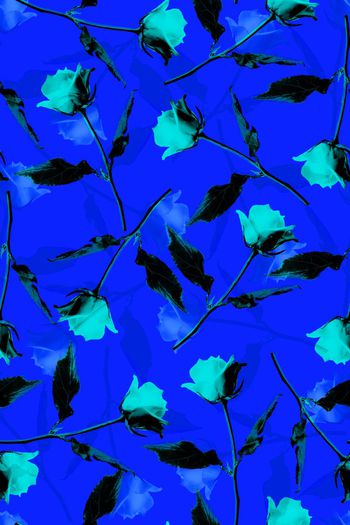 592268-玫瑰花大花朵