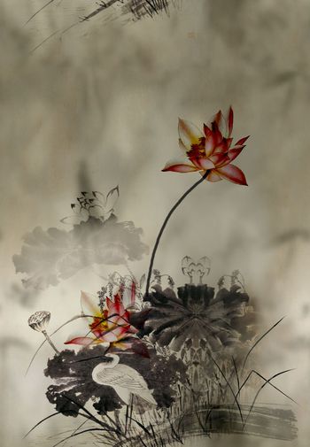 花鸟印花华亿平台图片