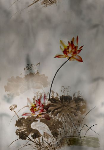 花鸟印花华亿平台图片