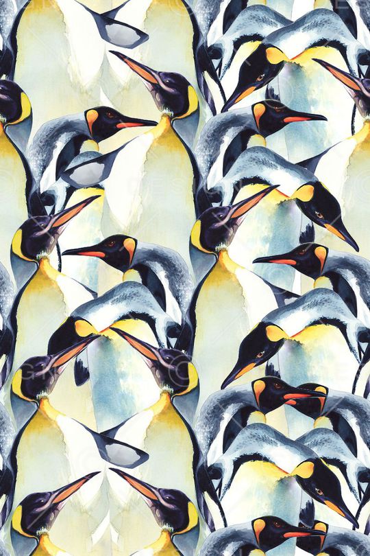 企鹅印花华亿平台图片