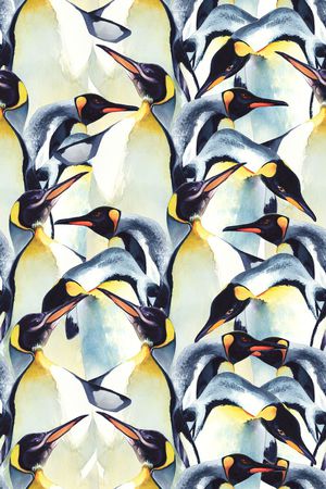 企鹅印花华亿平台图片