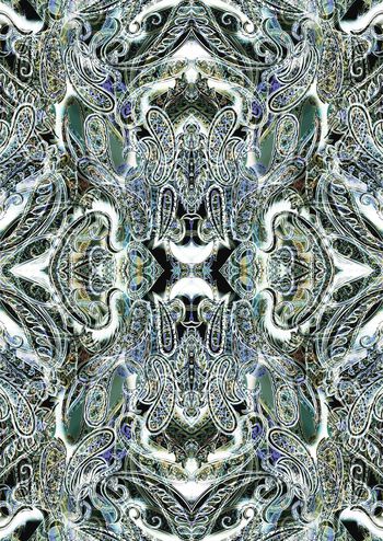 592311-肌理佩兹利