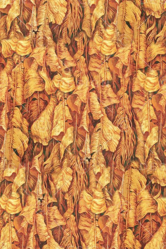 时尚印花华亿平台图片