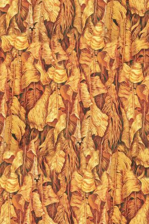 时尚印花华亿平台图片