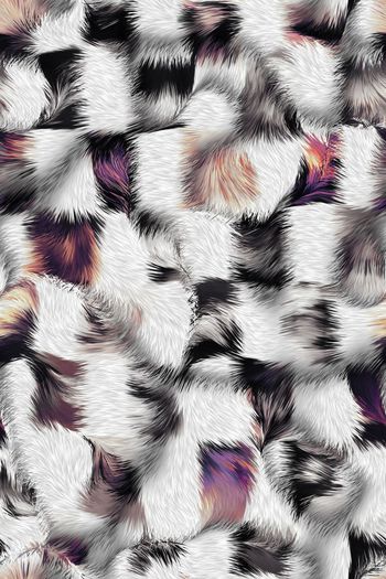 592488-豹豪斯自由动物肌理1