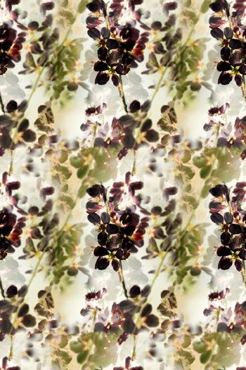 592490-花艺坊时尚女装花卉