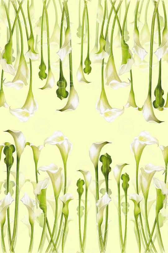 小清新印花华亿平台图片