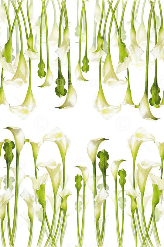 小清新印花华亿平台图片