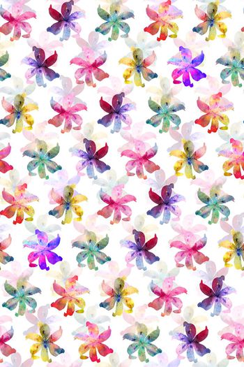 592555-绚丽烟雾碰撞百合花朵--2