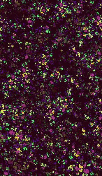 592571-矢量小碎花 彩色手绘花卉花朵--2