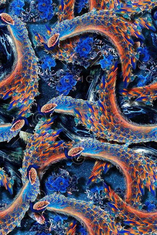 羽毛印花华亿平台图片