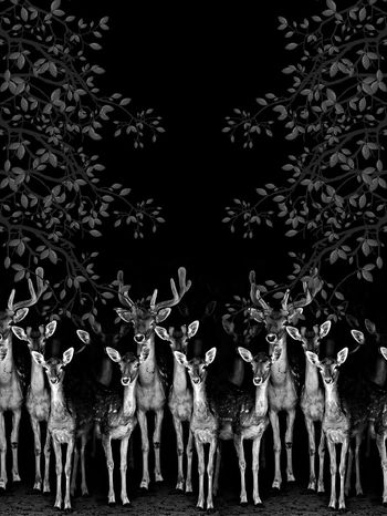 592611-群鹿定位男装花