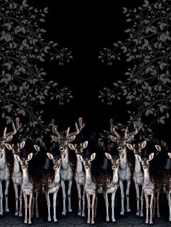 592612-群鹿定位男装花