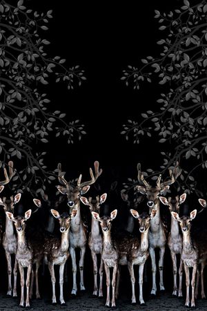 动物印花华亿平台图片