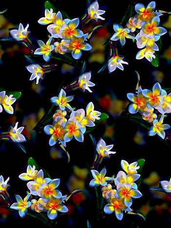 592631-欧美时尚花卉女装花