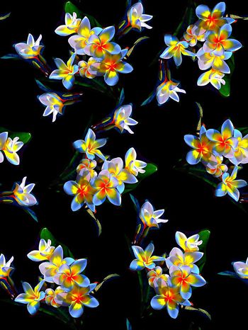 592632-欧美时尚花卉女装花