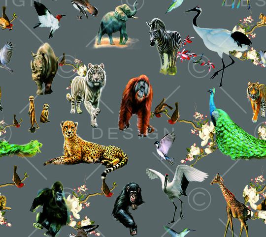 斑马印花华亿平台图片