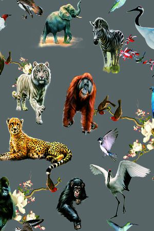 斑马印花华亿平台图片