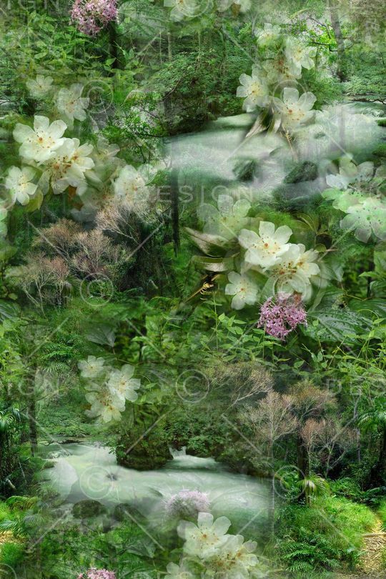 L.D~花卉印花华亿平台图片