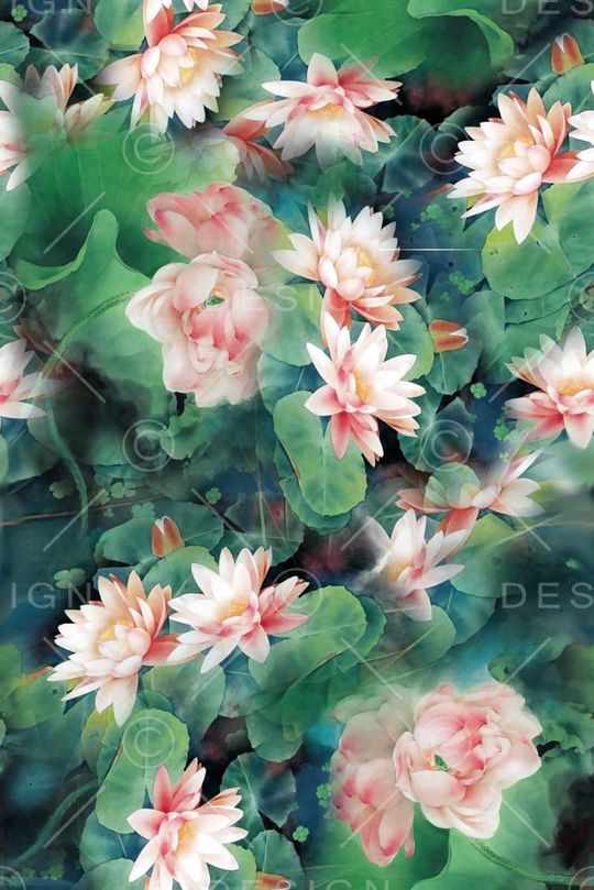 荷花印花华亿平台图片