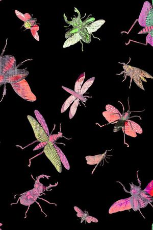 昆虫印花华亿平台图片