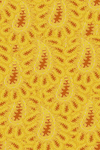 592976-金枝玉叶-佩斯利1