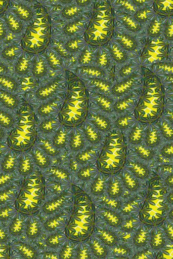 592977-金枝玉叶-佩斯利1