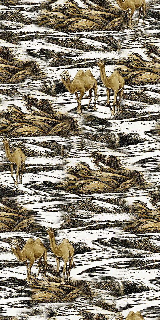 男装T恤印花华亿平台图片