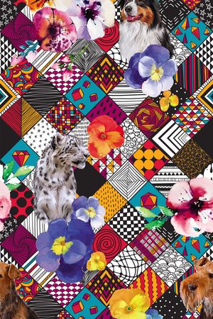 牵牛花印花华亿平台图片