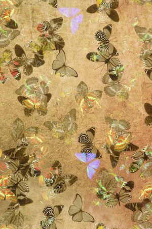 坯布印花华亿平台图片