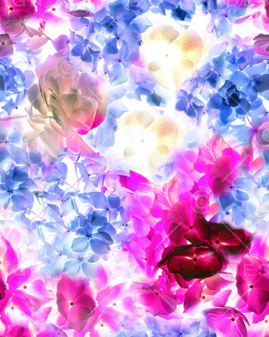 坯布印花华亿平台图片