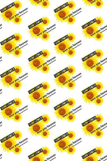 太阳印花华亿平台图片