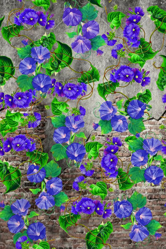 服装印花华亿平台图片