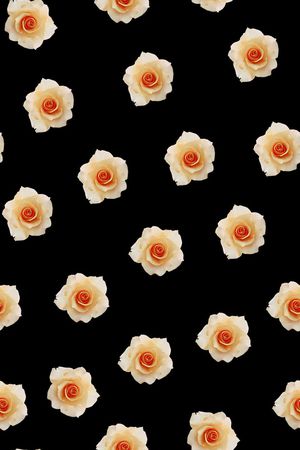 玫瑰印花华亿平台图片