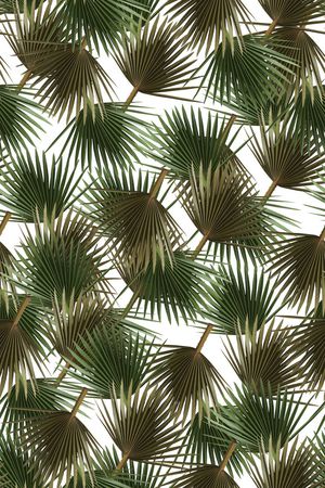 棕榈叶印花华亿平台图片